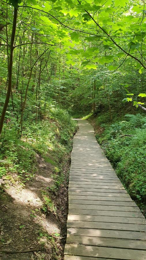 Pokoje Goscinne Maj - Rozewie Jastrzębia Góra Exterior foto